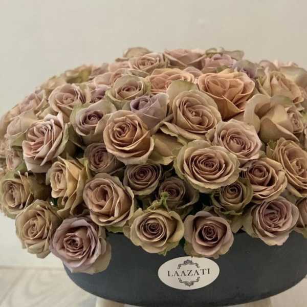 Round box arrangement of blush and beige roses