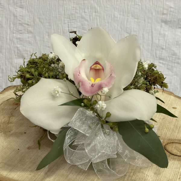 White orchid arrangement with a sheer ribbon on a wooden slab