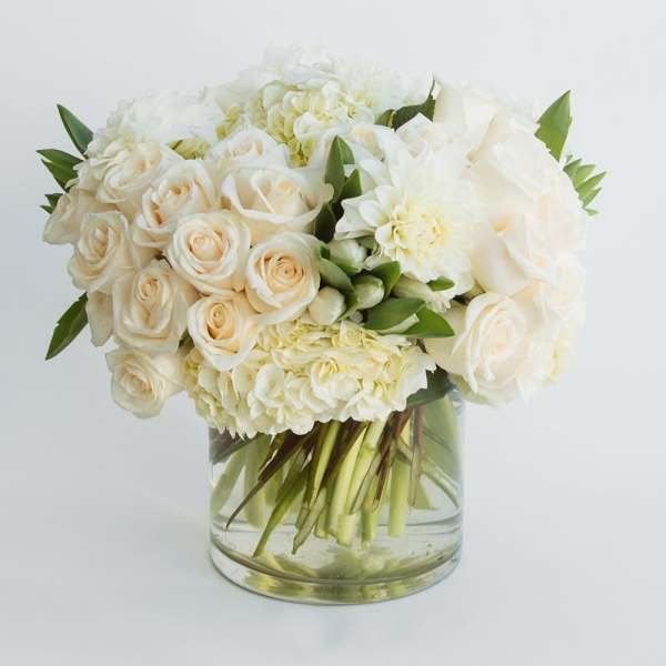 White roses and hydrangeas arranged in a clear glass vase