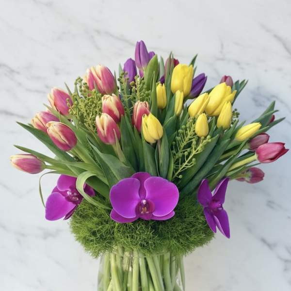 Nob Hill Tulip Garden