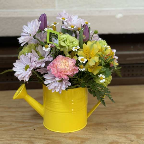 April Showers Watering Can