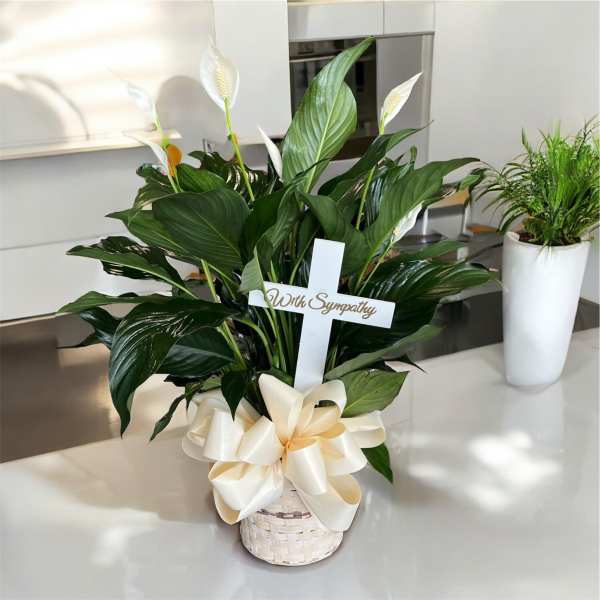 White peace lilies in a basket with a sympathy cross and ribbon bow
