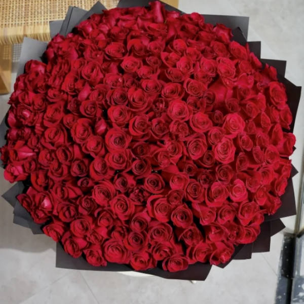 Large bouquet of red roses wrapped in black paper