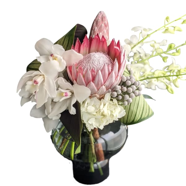 Pink protea and white orchids in a black glass vase