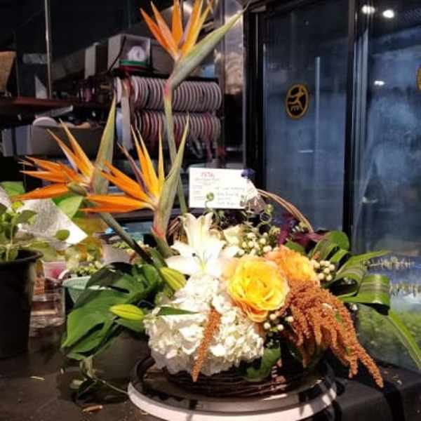 Dream high - Large arrangement