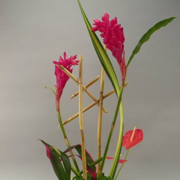 Tall modern tropical arrangement with pink blooms, bamboo sticks, and a black rectangular container