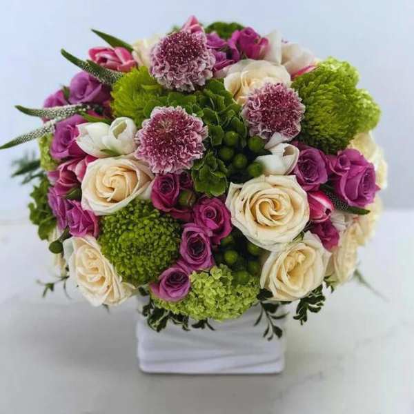 Bouquet of cream and purple roses with green pom flowers in a white vase