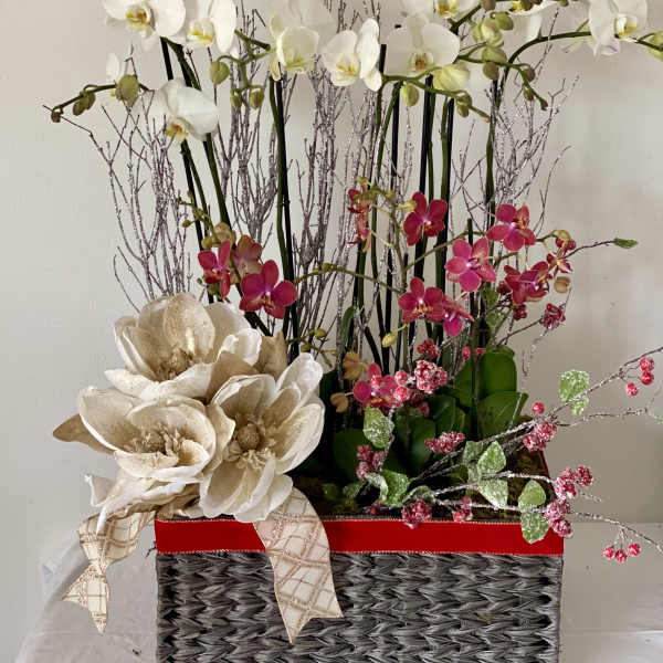 Tall orchid arrangement with white and pink blooms in a woven basket