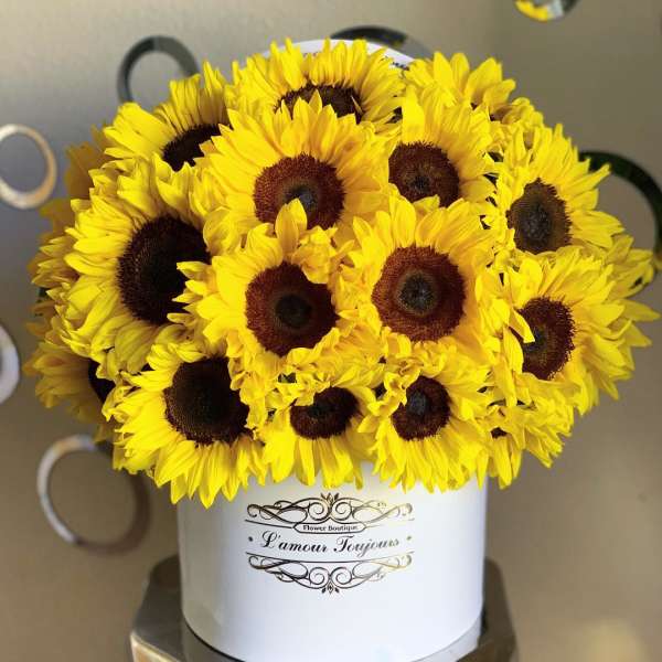 Hat box arrangement of bright yellow sunflowers with dark centers in a white cylinder container