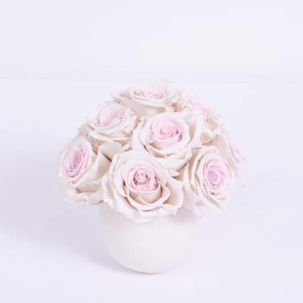 Blush Preserved Roses - Lasts a full year