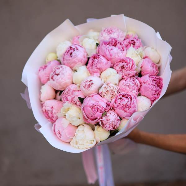 Bouquet of pink and white peonies wrapped in white paper