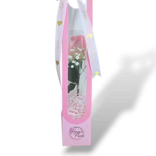 Single white rose in a pink gift box with a ribbon bow