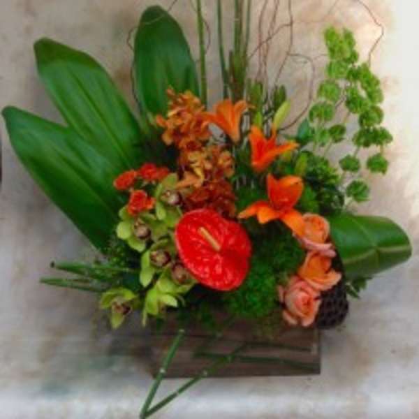 Tropical floral arrangement with orange blooms and a red anthurium in a low container