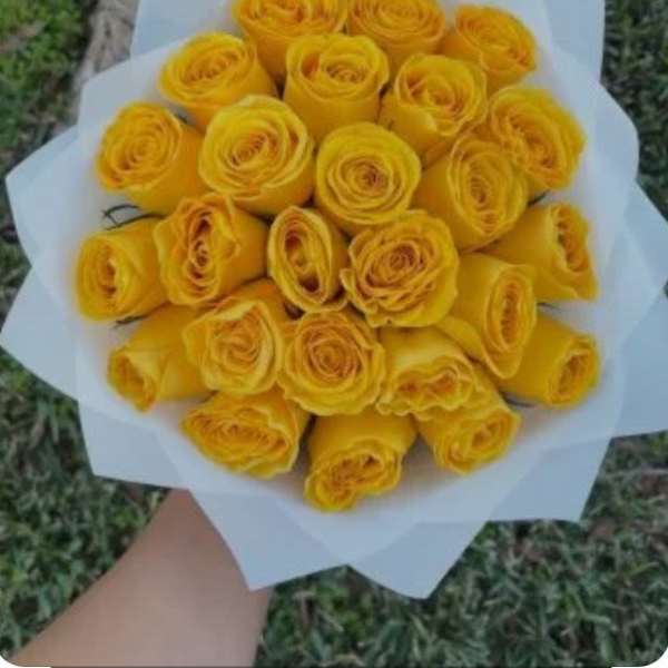 Handheld bouquet of tightly packed yellow roses wrapped in white paper.