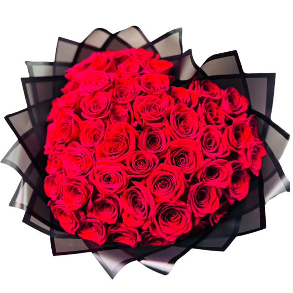 Heart-shaped bouquet of bright red roses wrapped in layered black translucent paper