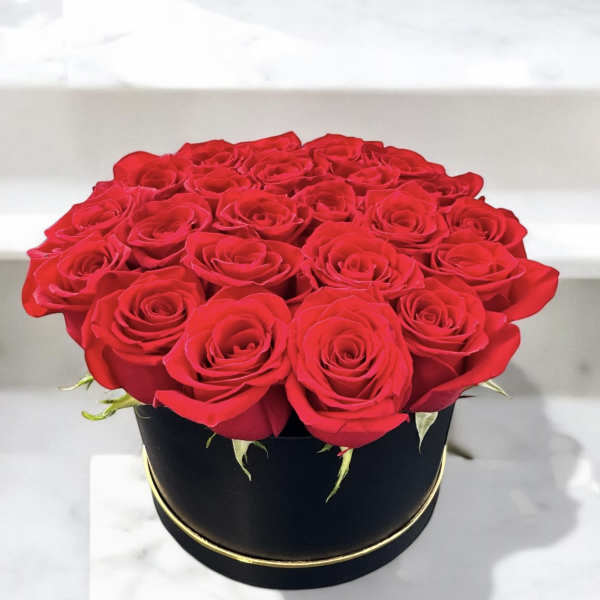 Red roses arranged in a round black box
