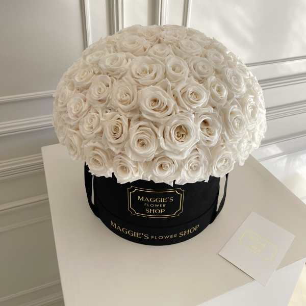 Large dome of white roses in a black hatbox