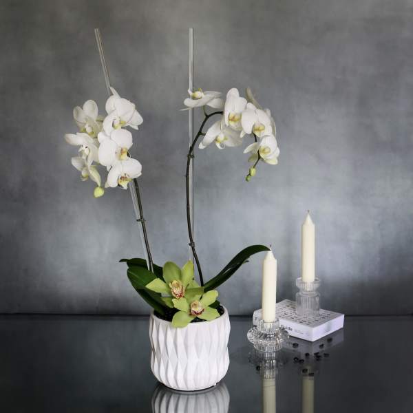 White orchids in a textured white pot beside two candles