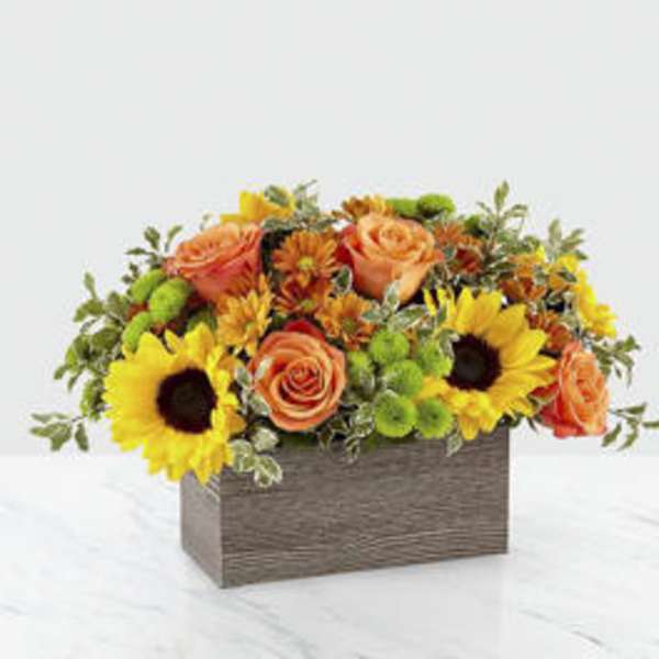 Happy Harvest Garden