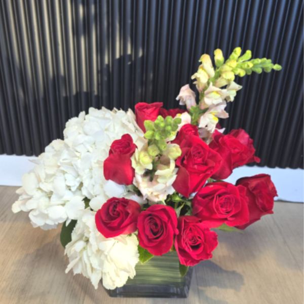 Stacie's Scarlet Grace