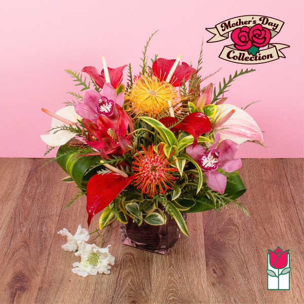 Tropical arrangement with red anthuriums, pink orchids, and pincushion protea in a dark glass cube vase.