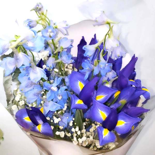 Bouquet of blue and purple flowers wrapped in clear paper