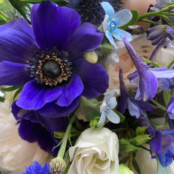 Close-up bouquet with a deep purple anemone and white roses