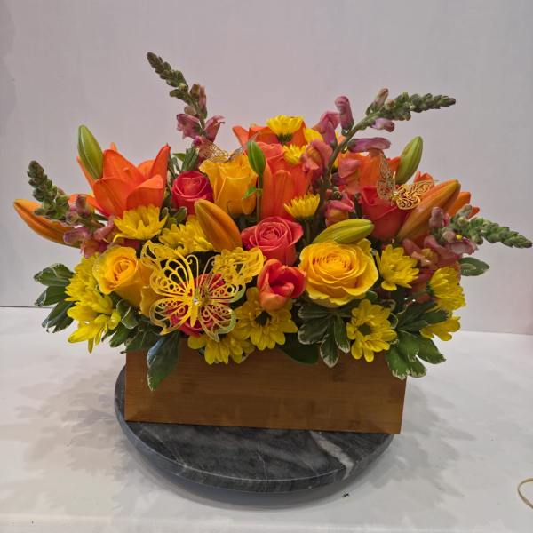 Stacie's Golden Glow