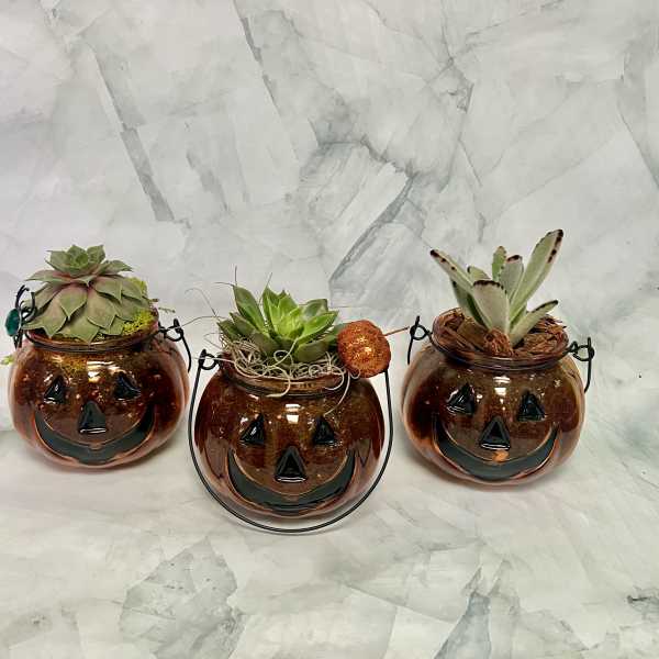 Three pumpkin-shaped glass planters with succulents and Halloween faces