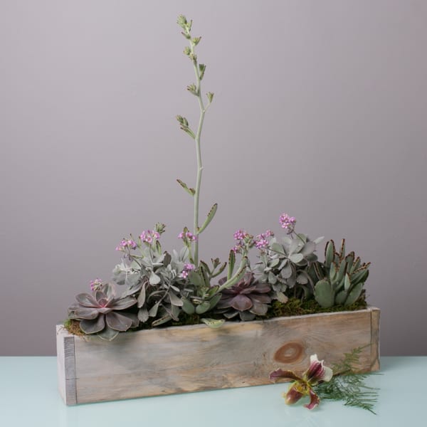 Succulent arrangement in a wooden box with small pink flowers