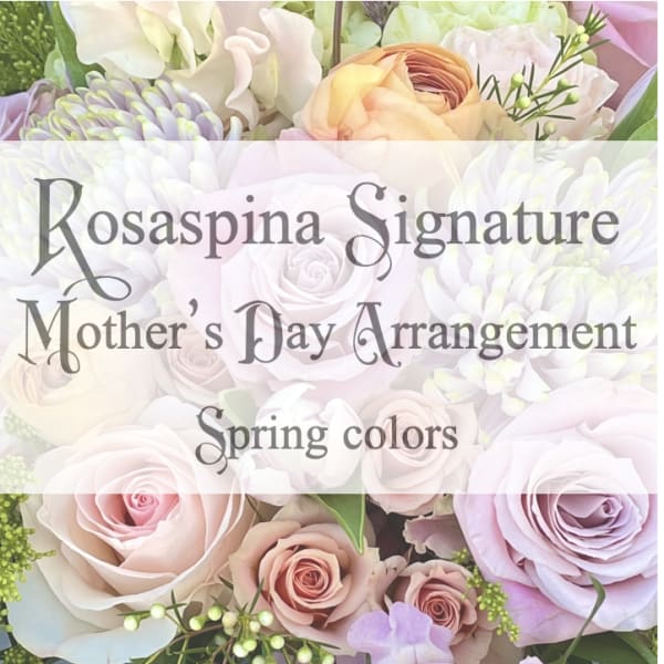 Pastel roses and mixed spring flowers with text overlay