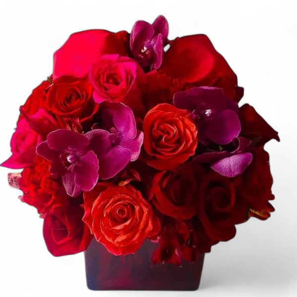 Red roses and purple orchids arranged in a square vase