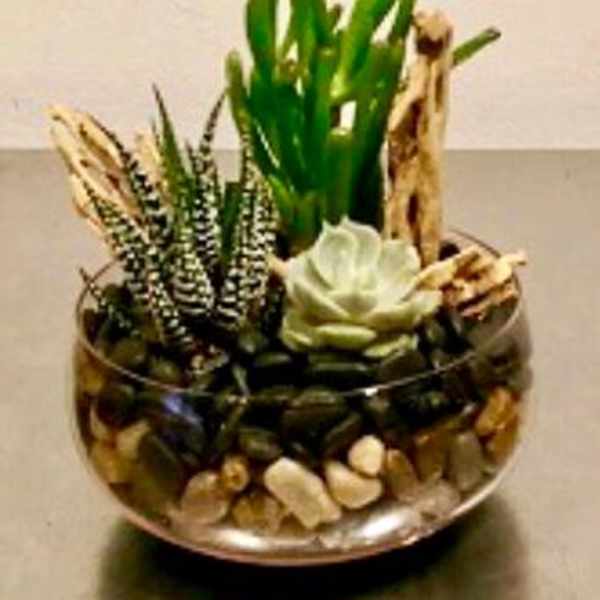 Succulent arrangement in a glass bowl with pebbles