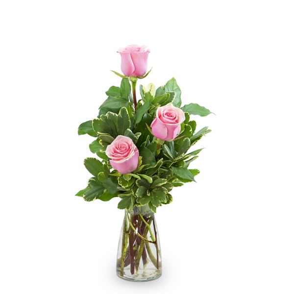 Pink roses arranged in a clear glass vase with variegated greenery