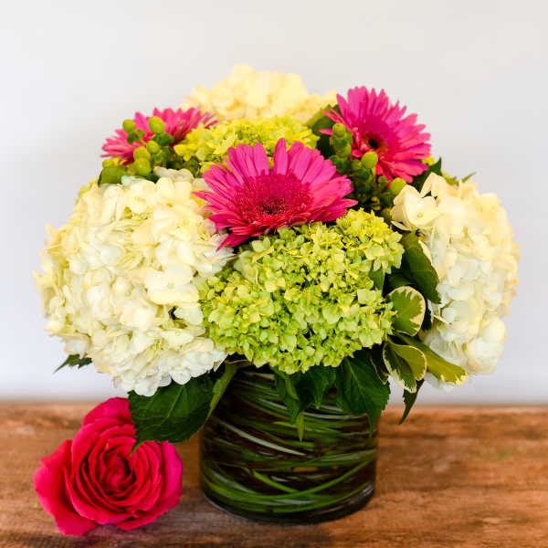 Pink gerbera daisies and white hydrangeas in a glass vase