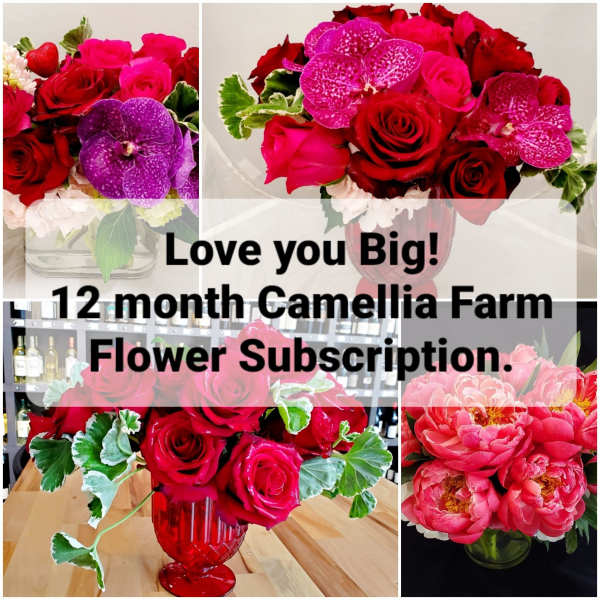 Collage of red and pink floral arrangements in vases with bold text overlay