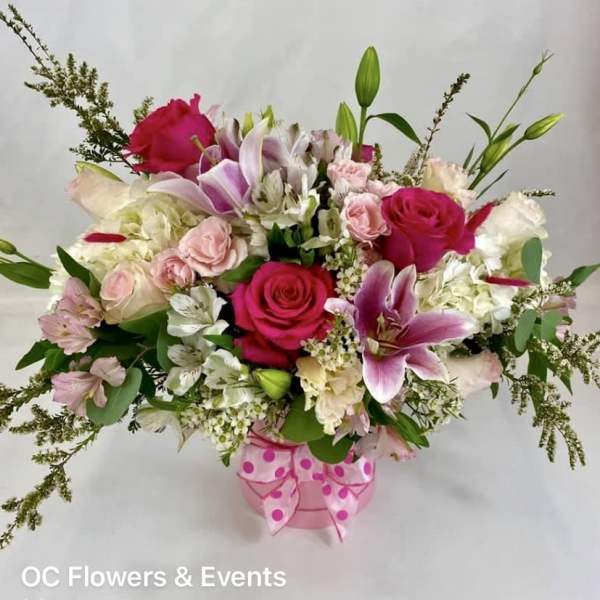 It’s a Girl - Beverly Hills