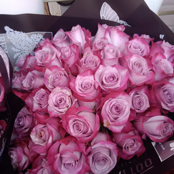 Bouquet of pink roses wrapped in dark paper
