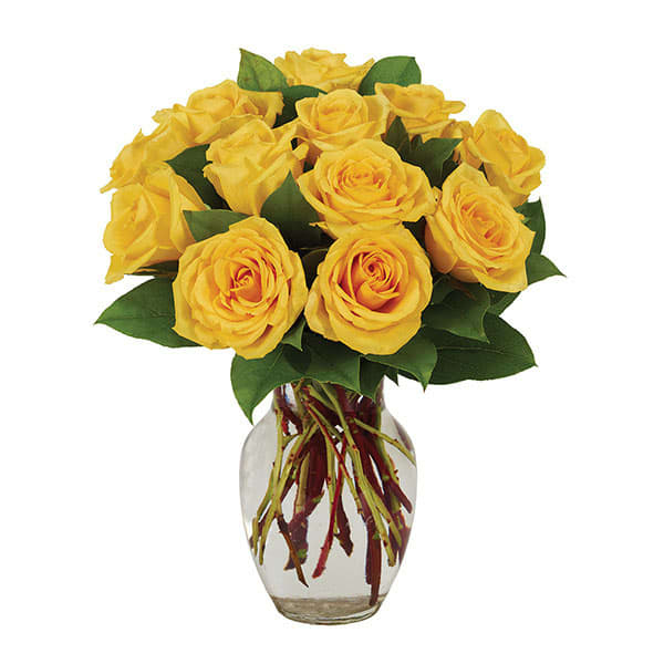 Yellow roses arranged in a clear glass vase