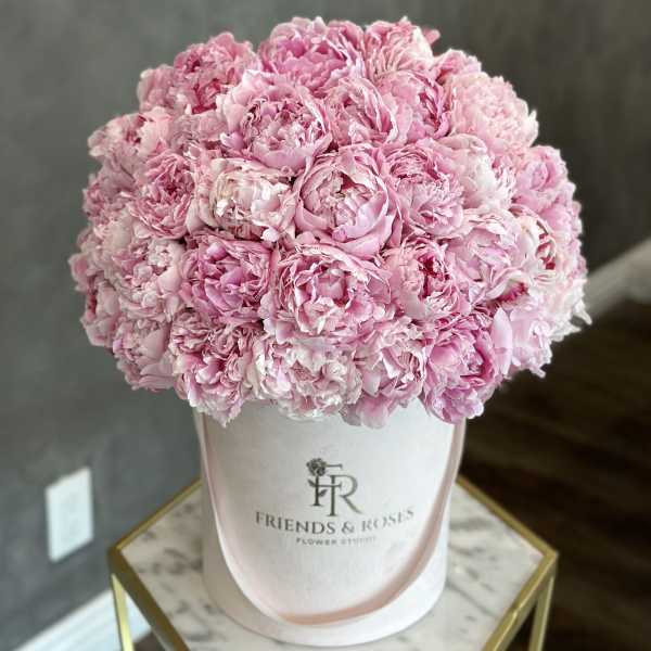 Pink peonies arranged in a white hat box