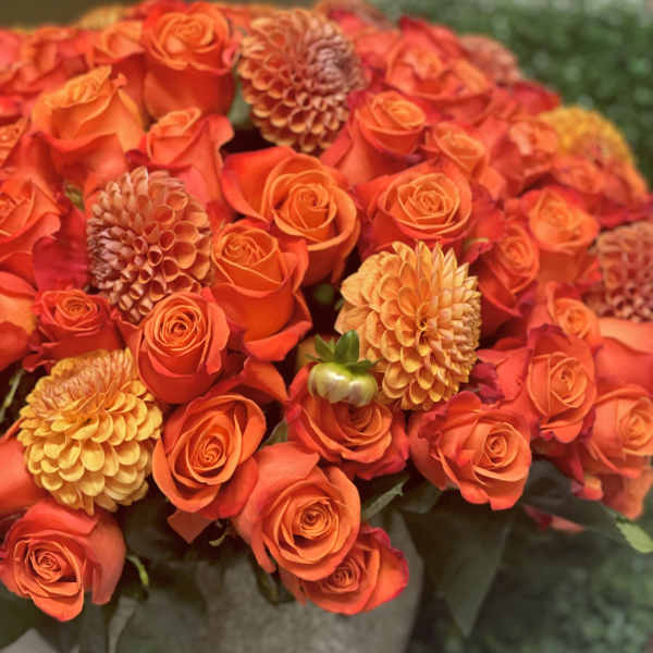 Orange roses and dahlias arranged in a round vase