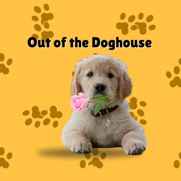 Golden retriever puppy holding a pink rose on a yellow background