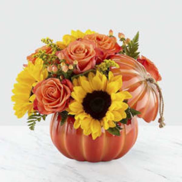 Harvest Traditions Pumpkin