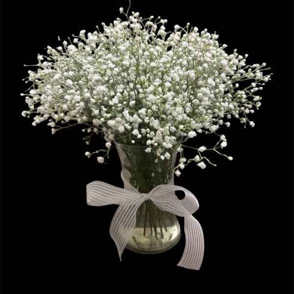 Baby's Breath Arrangement