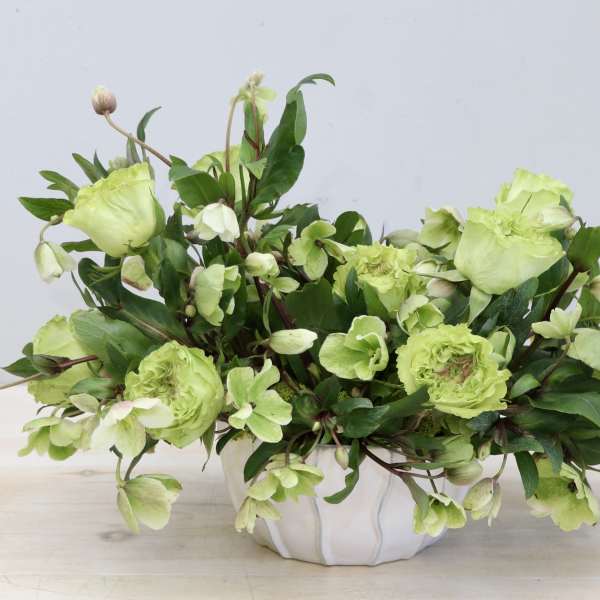 Low arrangement of light green blooms in a white ceramic bowl