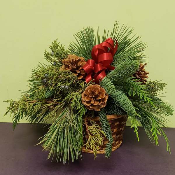 Pine and cedar arrangement in a woven basket with pinecones and a red ribbon