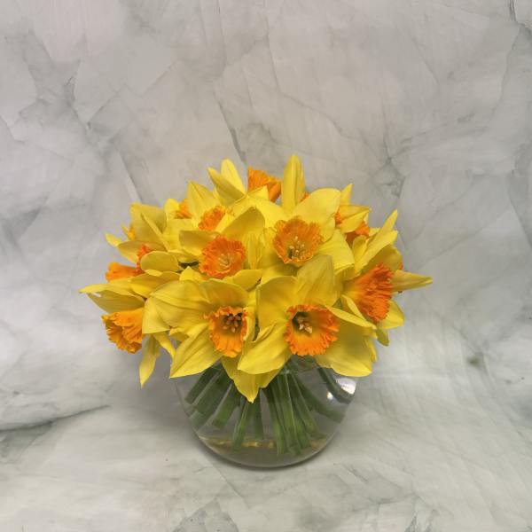Yellow daffodils with orange centers in a clear glass vase