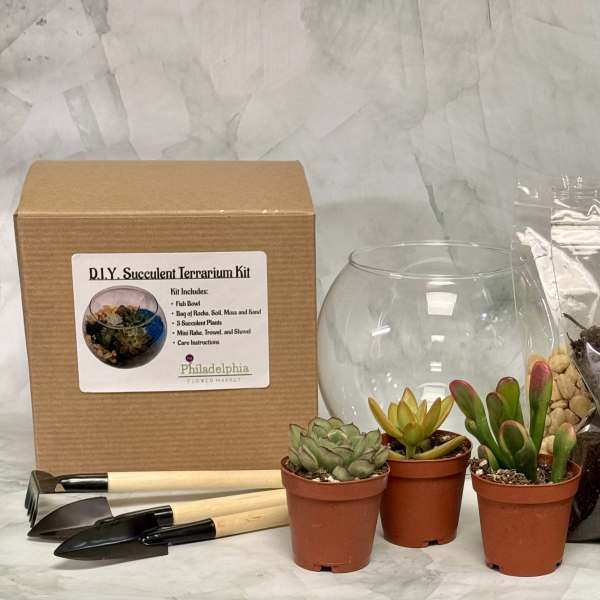 DIY succulent terrarium kit with three potted succulents, glass bowl, soil, moss, rocks, and tools