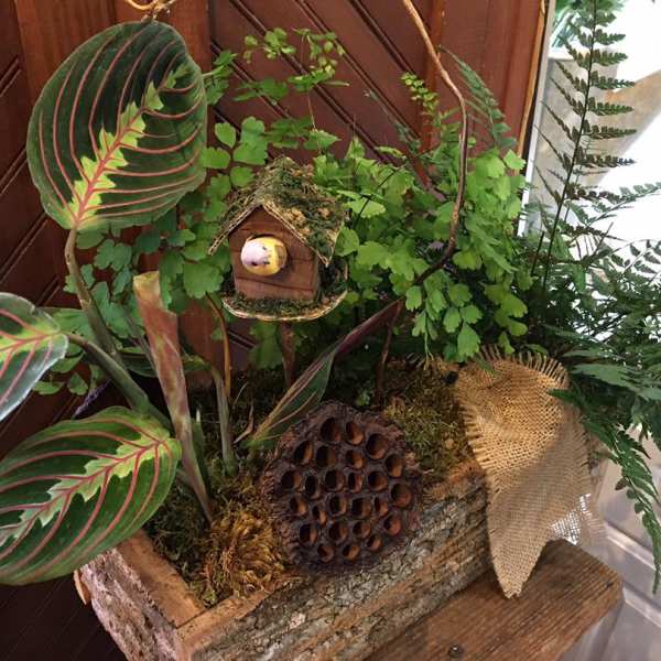 Potted foliage arrangement with a small birdhouse and burlap accent