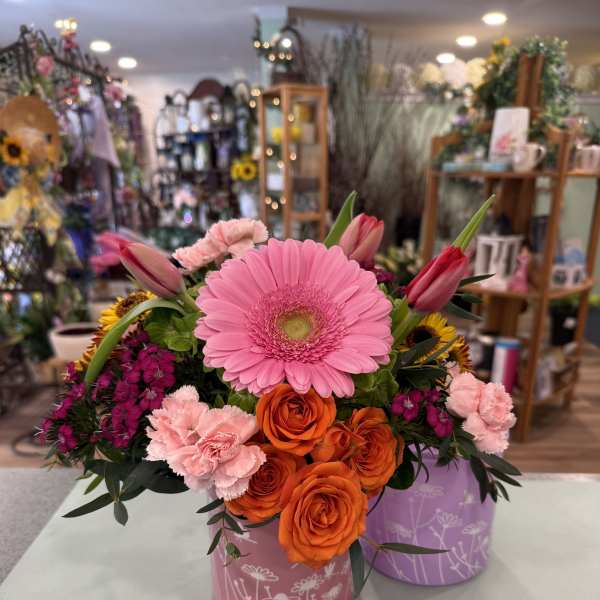 Spring Cylinder (SPC)